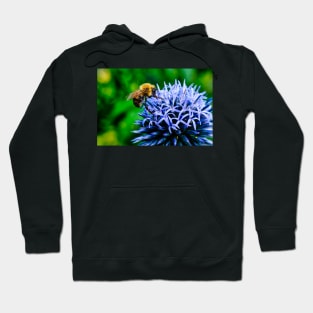 Bee On Small Globe Thistle 2 Hoodie